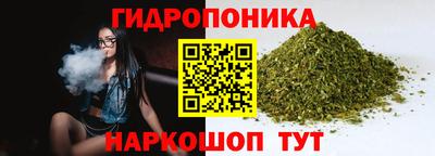 шишки Усть-Джегута