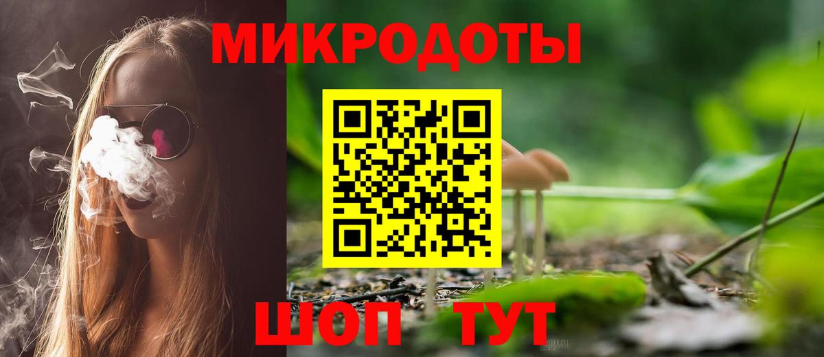 Псилоцибиновые грибы Psilocybe  Галлюциногенные грибы прущие грибы  Боровичи  Вход с VPN 